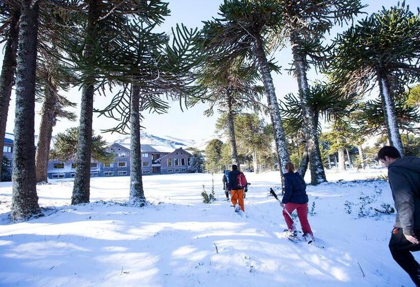 חדר סטנדרט, Valle Corralco Hotel & Spa