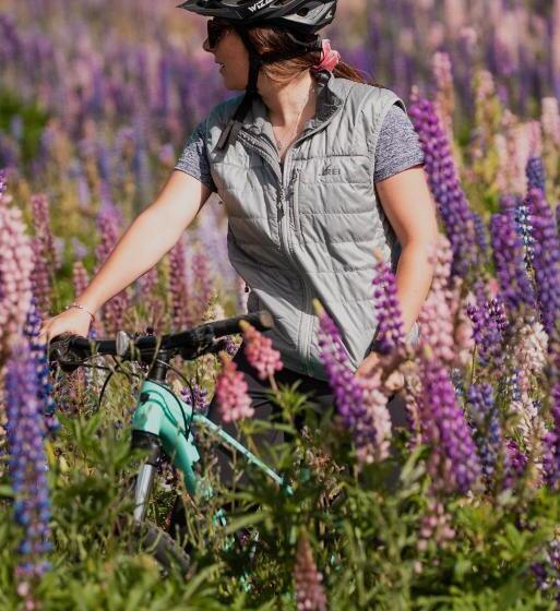 חדר סטנדרט, Valle Corralco Hotel & Spa