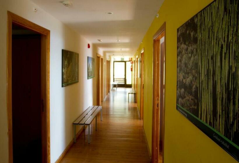 공동 객실, Albergue Montes De Anaga