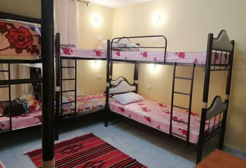 تختخواب در اتاق مشترک, Bunksurfing Hostel