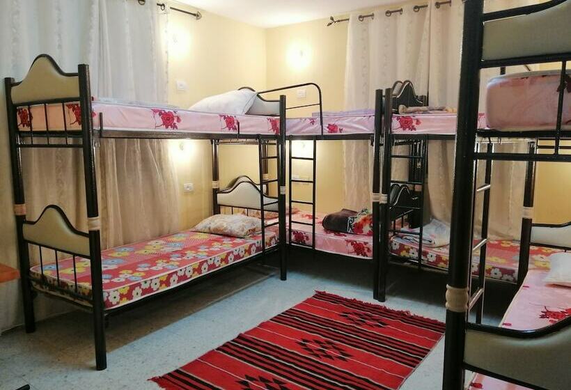 تختخواب در اتاق مشترک, Bunksurfing Hostel