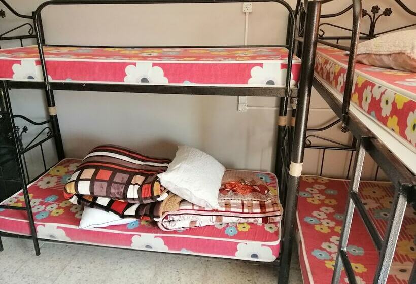 تختخواب در اتاق مشترک, Bunksurfing Hostel