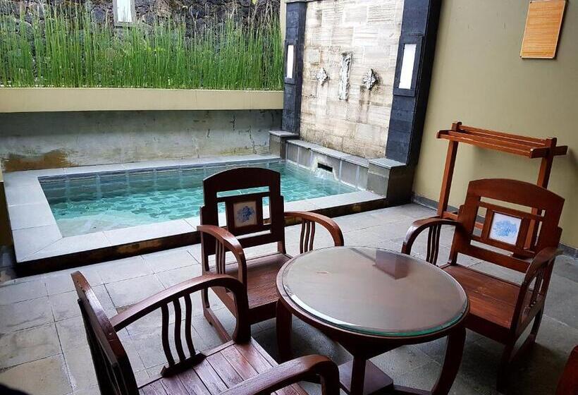 带泳池及2个卧室的复式别墅, Gracia Spa Resort