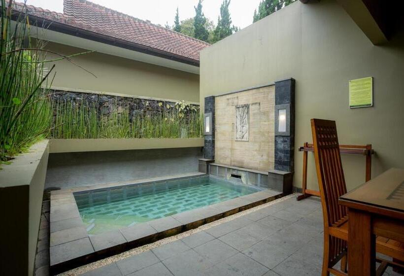 带泳池及2个卧室的复式别墅, Gracia Spa Resort