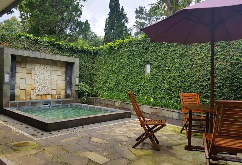 三卧室泳池别墅, Gracia Spa Resort