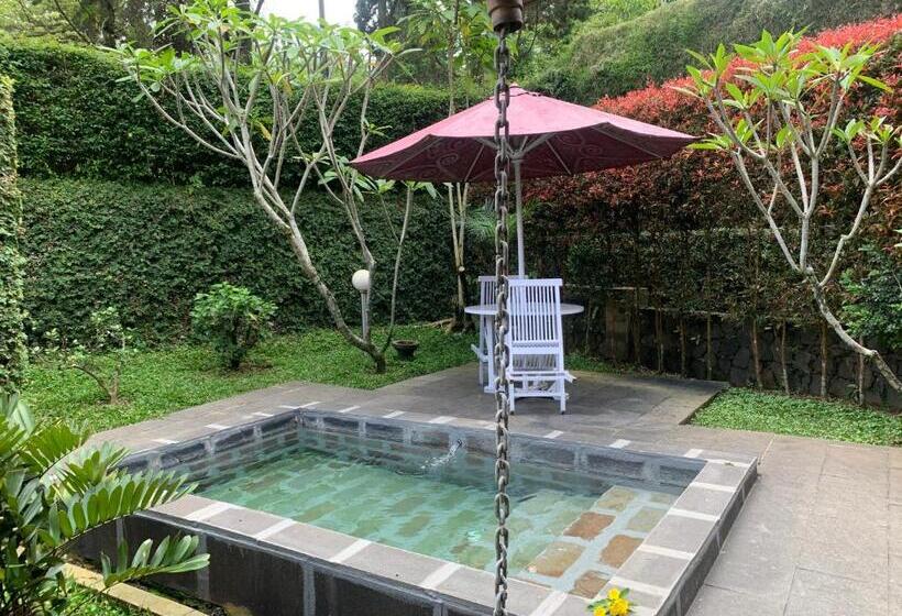 别墅: 1间卧室带游泳池, Gracia Spa Resort
