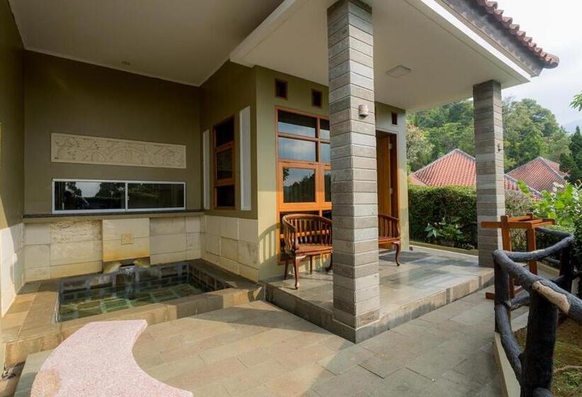 Вилла с 1 спальней и бассейном, Gracia Spa Resort