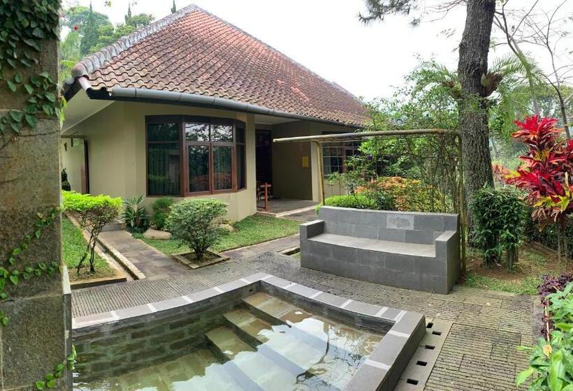 别墅: 1间卧室带游泳池, Gracia Spa Resort