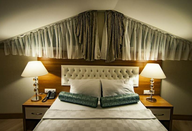 חדר סטנדרט, Exelans