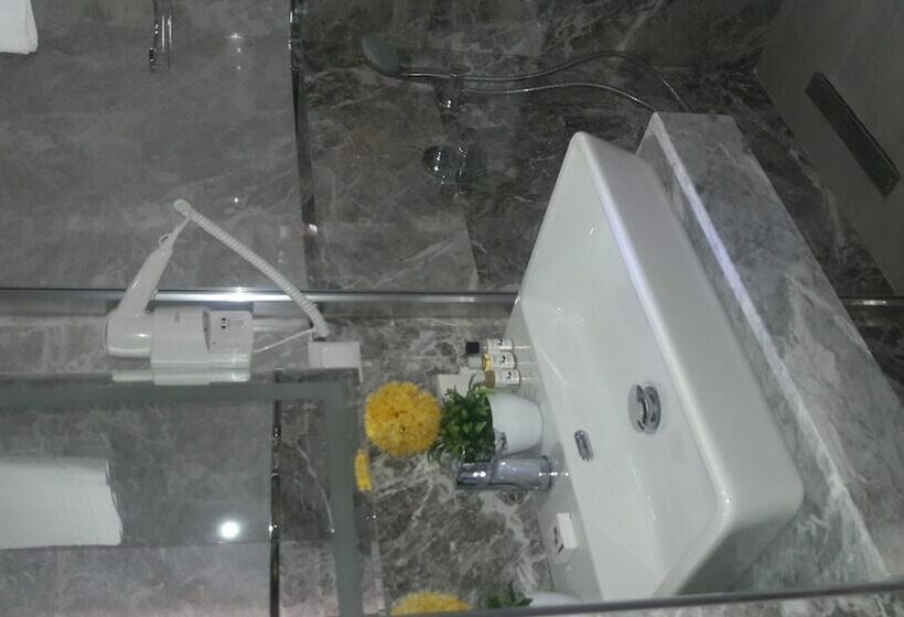 חדר סטנדרט, Exelans