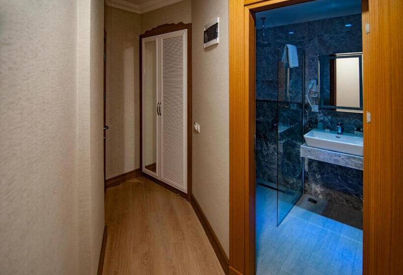 חדר סטנדרט, Exelans