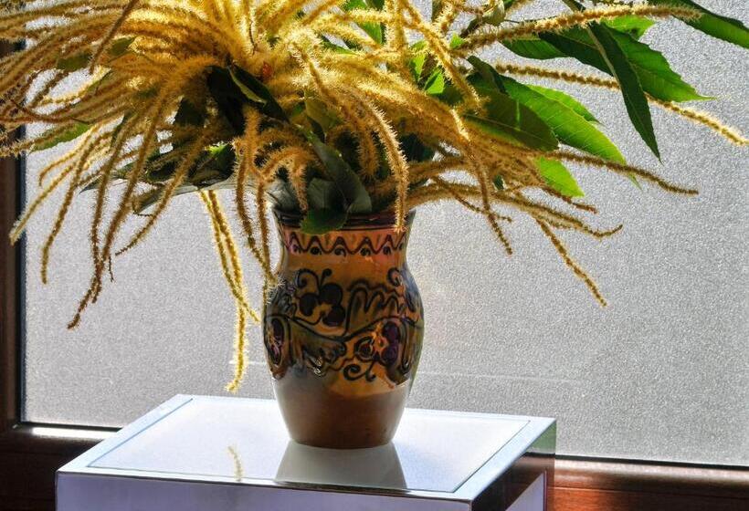 اتاق استاندارد یک نفره, Rural Pescadores