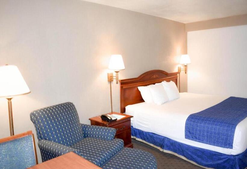 غرفة قياسية سرير كينج, Attleboro Motor Inn