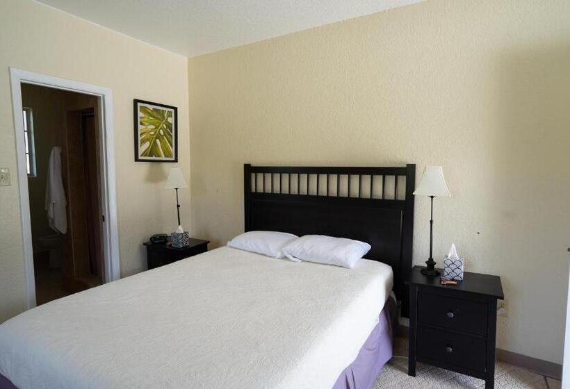 جناح ديلوكس, Mar Bay Exclusive Suites