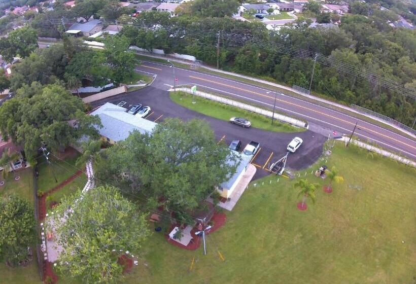 إستوديو قياسى, Mar Bay Exclusive Suites