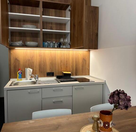 استودیوی استاندارد, Apartman Kod Gondole Vila Bela Reka