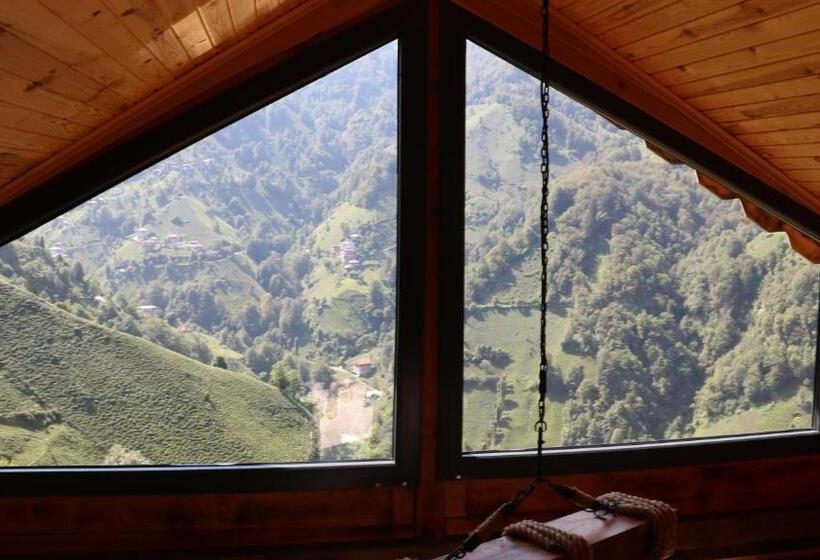 סוויטה, The Reo S Suit