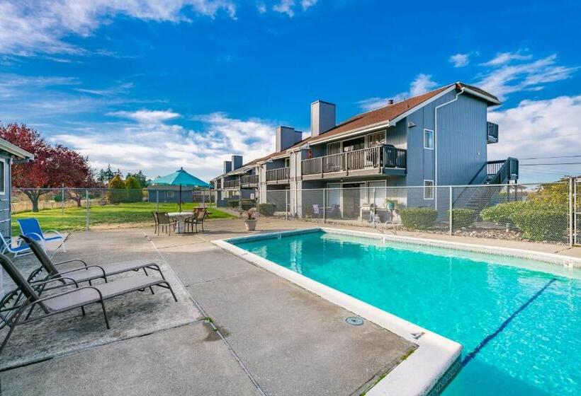 1 Bedroom Apartment Lake View, 206   Megan S Condo