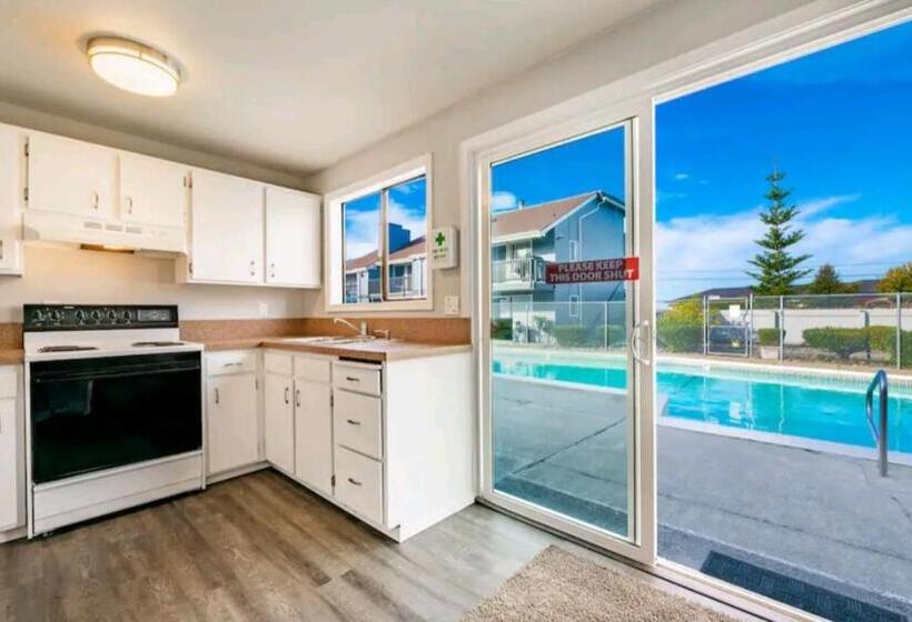 1 Bedroom Apartment Lake View, 206   Megan S Condo