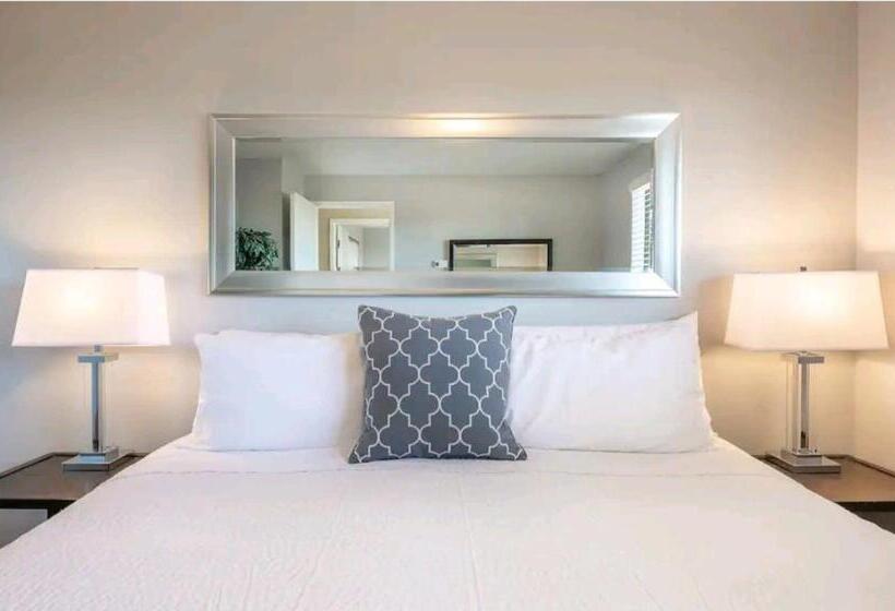 1 Bedroom Apartment Lake View, 206   Megan S Condo