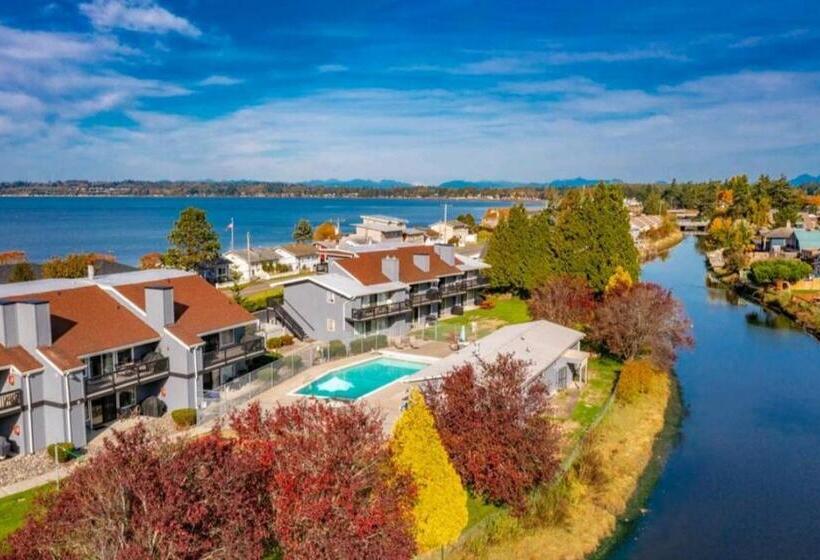 1 Bedroom Apartment Lake View, 206 Megan S Condo