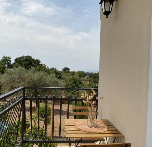 스탠다드 자쿠지 룸, Guar Country Resort