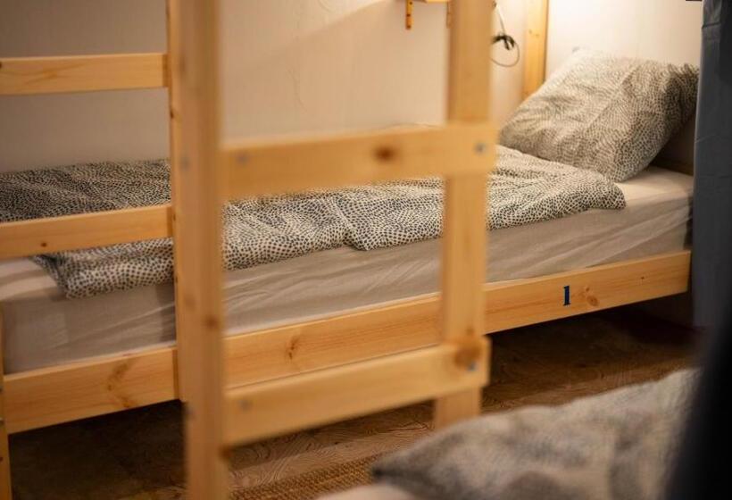 מיטה בחדר משותף, Doña Rose Surf Hostel