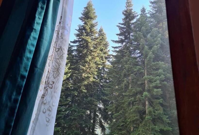 اتاق استاندارد, Family Inn Glola