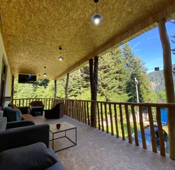 اتاق استاندارد چهار تخته, Family Inn Glola