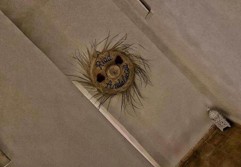 Quarto standard, Riad Córdoba