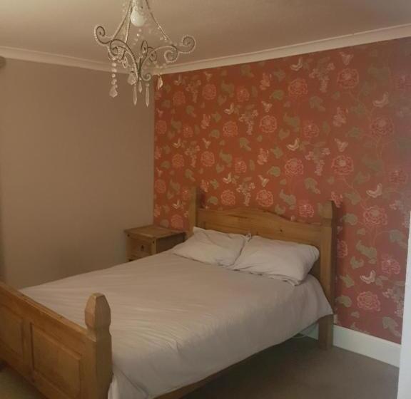 스탠다드 룸, The Bridge