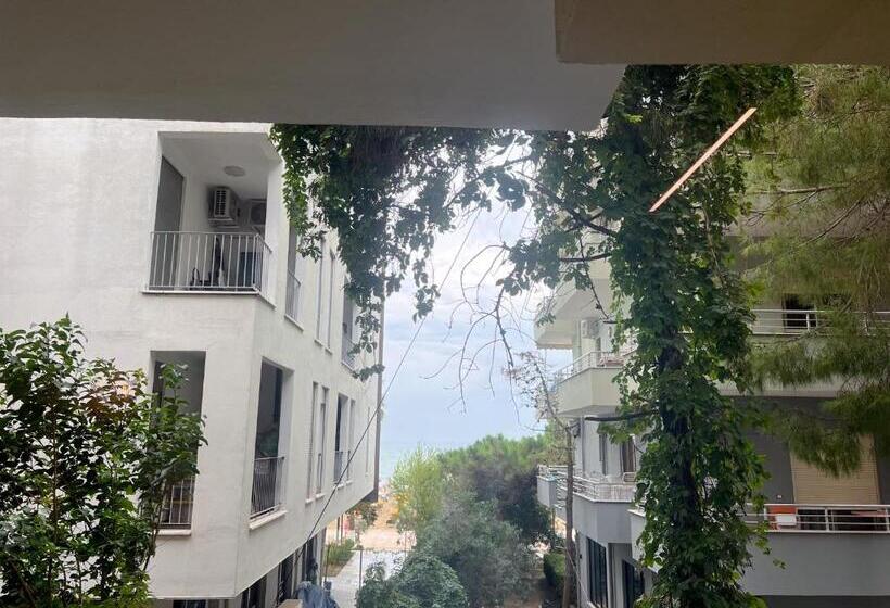 חדר סופריור לשלושה, Siar Rooms