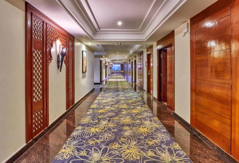 סוויטה, Lp Vilas