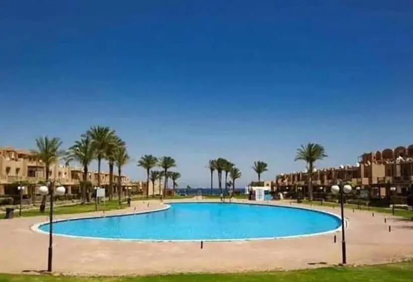 استودیو خانوادگی, استيلا دمارى