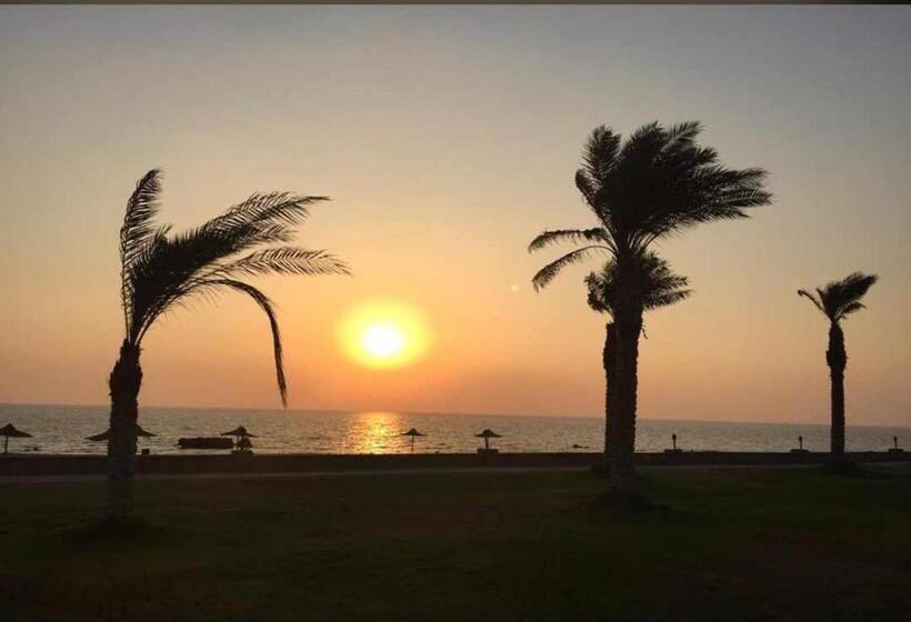 استودیو خانوادگی, استيلا دمارى