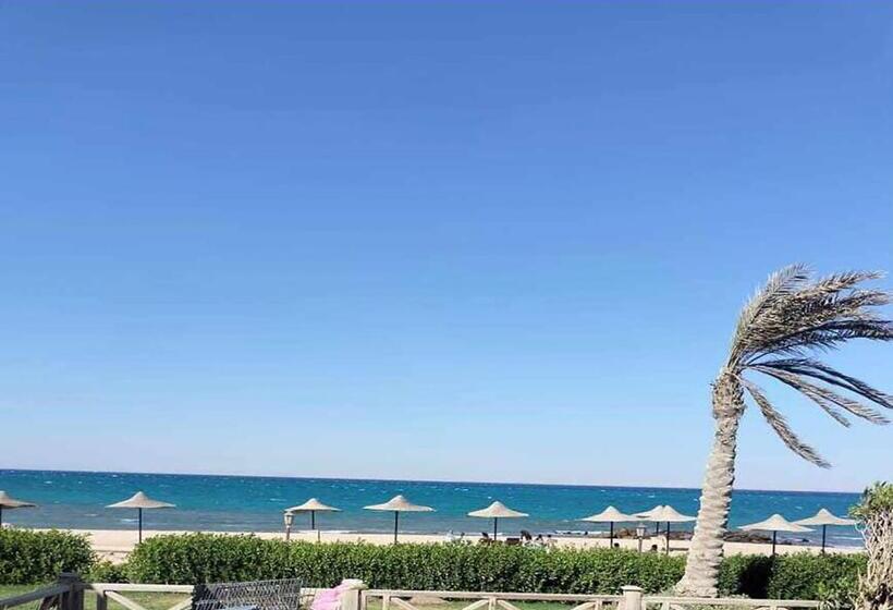 استودیو خانوادگی, استيلا دمارى