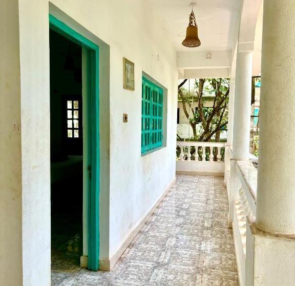 סטודיו סופריור, Dreamy Vibe Stays