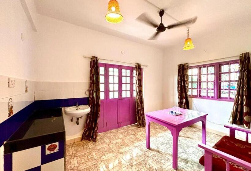 סטודיו סופריור, Dreamy Vibe Stays