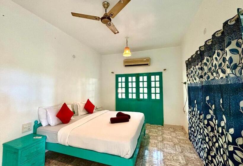 סטודיו סופריור, Dreamy Vibe Stays