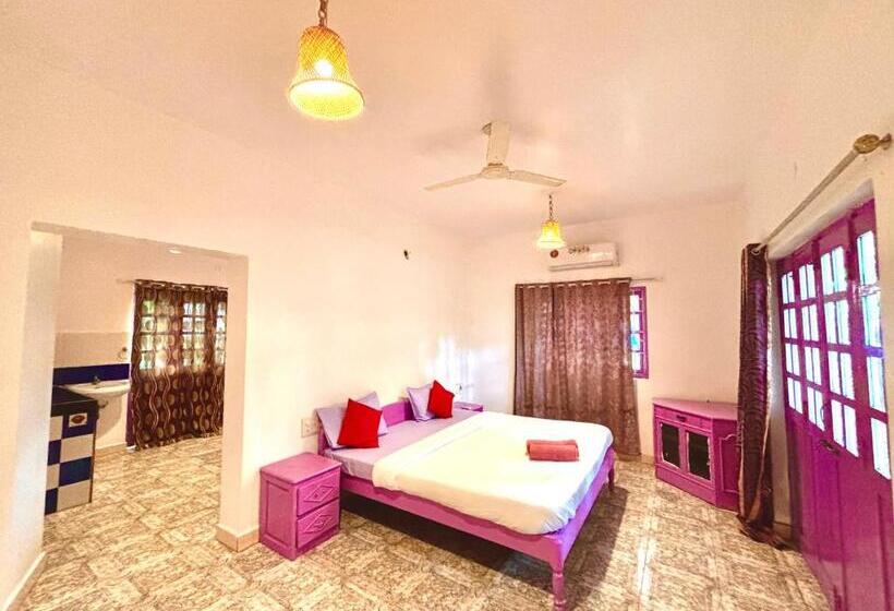 סטודיו סופריור, Dreamy Vibe Stays