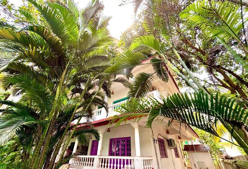 סוויטה עם מרפסת, Dreamy Vibe Stays