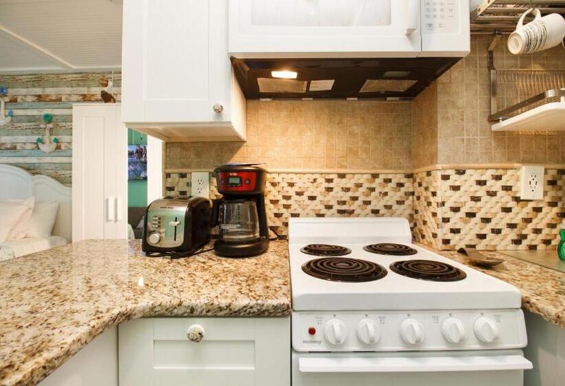 标准工作室, Tropic Terrace Suite #9   Beachfront Resort