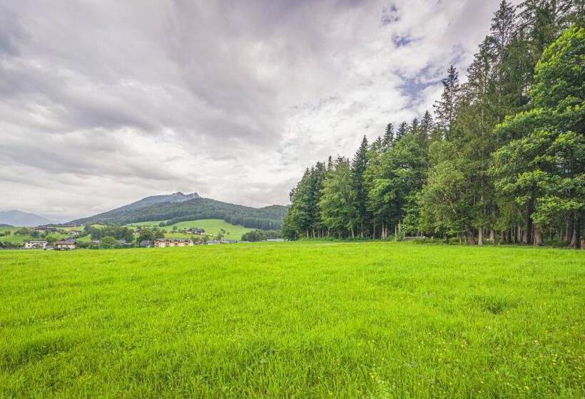 4인용 수피리어 룸, Haus Lemmerer