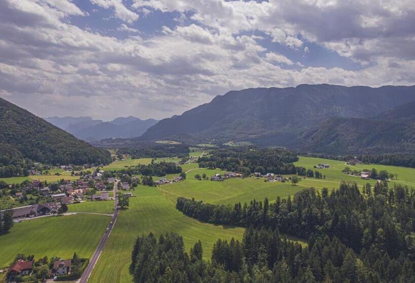 수피리어 룸, Haus Lemmerer