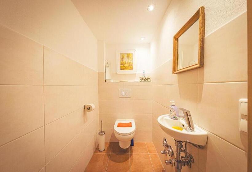 수피리어 룸, Haus Lemmerer