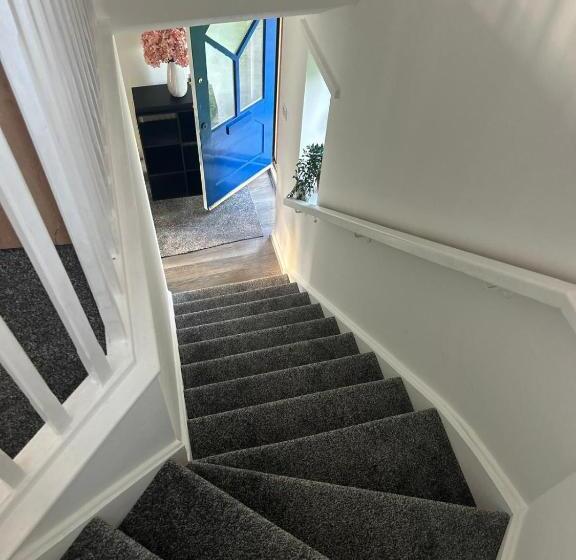 شقة غرفة واحدة, Budget Stay