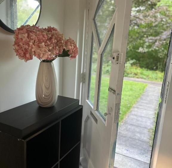 شقة غرفة واحدة, Budget Stay