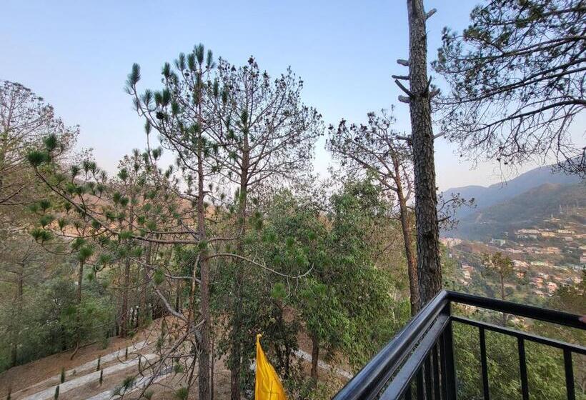 Стандартный Номер Кровать Кинг, Rainbow Resorts