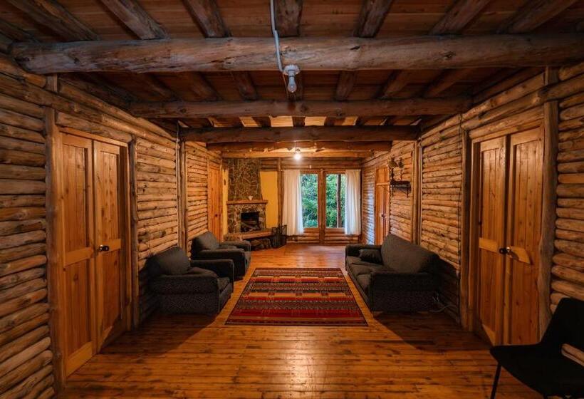 اتاق استاندارد, Alma