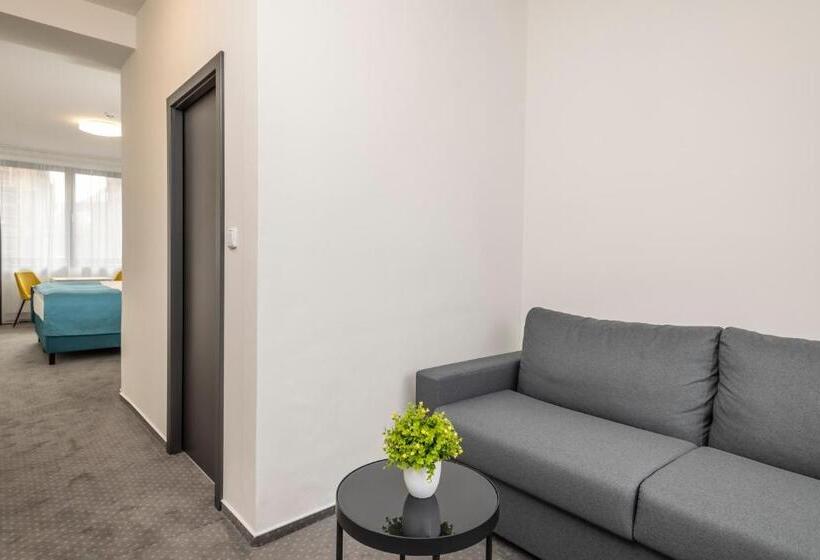 استودیو استاندارد با تخت کینگ, Design Hotel Vp1 Art